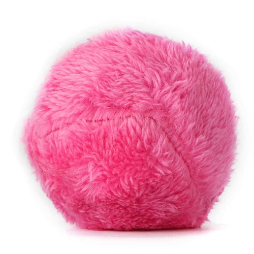 Magic Roller Ball for Cats and Dogs