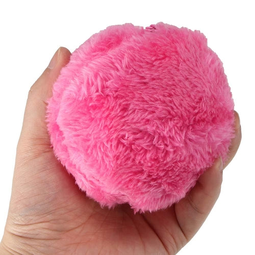 Magic Roller Ball for Cats and Dogs